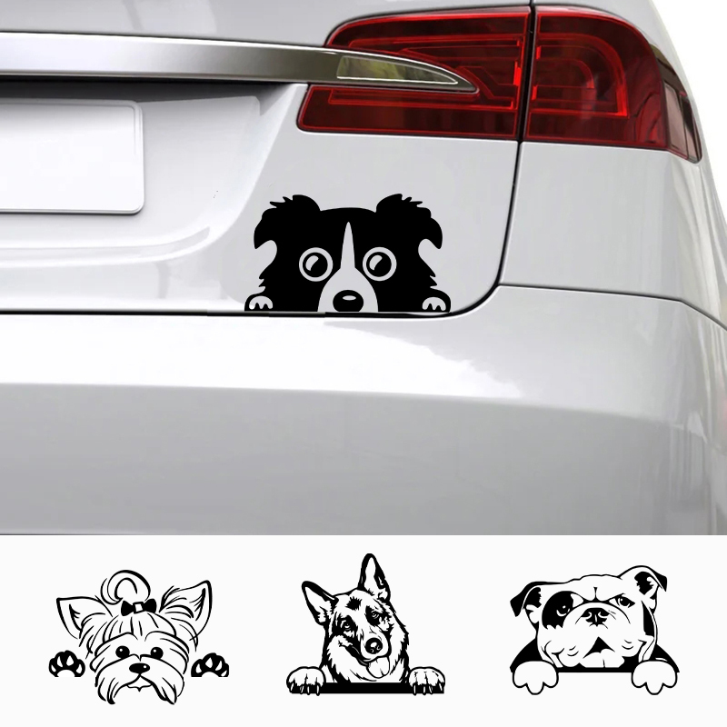 Laptop Accessories Price - Cars Accessorie Decals Funny Dog With