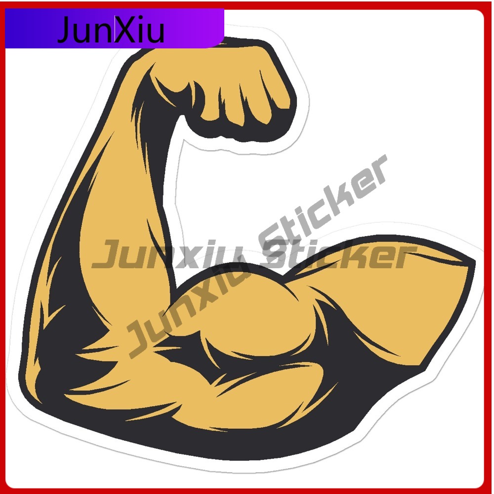 Bicep Muscle Weights Cute Best - Laptop Accessories Best 评论和价格