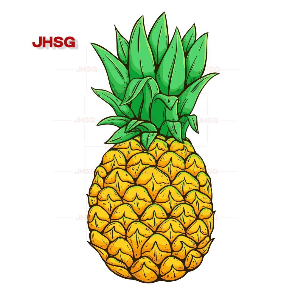 Best Pineapple Stickers Tropic - Laptop Accessories Best 评论和价格
